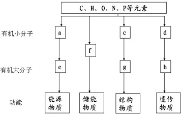 51每日主题大赛 本文将深入解析这一产品