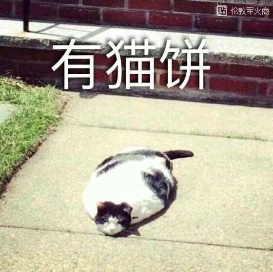 亚洲一区综合图区 用户可以根据兴趣选择类别