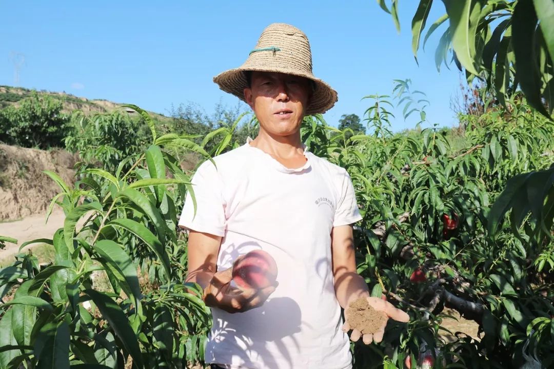 亿同看彩虹小蓝GTV免费下载