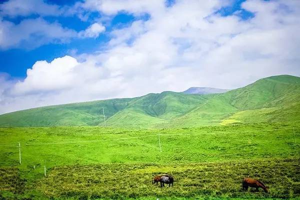 星空无线传媒在线无线免费在线看首页 其首页设计直观简洁