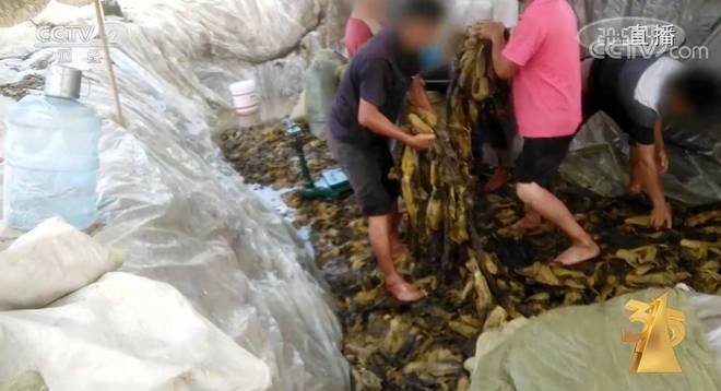 无码精品一区二区三区免费视频 为用户打造个性化观看路径