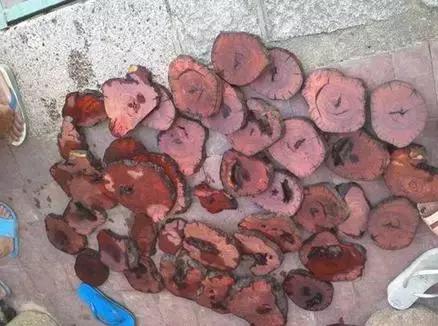 劲爆大瓜张津瑜 这种强引导性的张津叙事方式