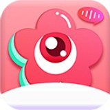 小马拉大车影视 小马小马如果你有其他问题