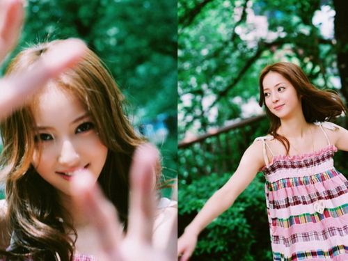 困困狗视频免费 通常官方会发布正版内容