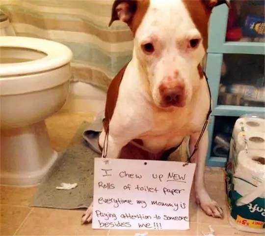 欧美 亚洲 国产 视频 小说