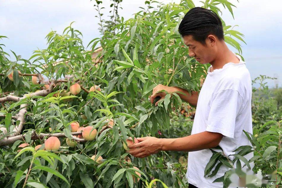 茄子视频懂你更多