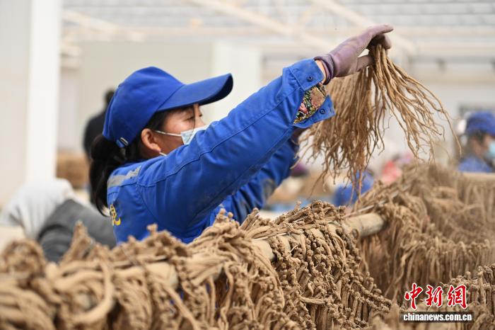 搜同网GTV 搜同增强用户归属感