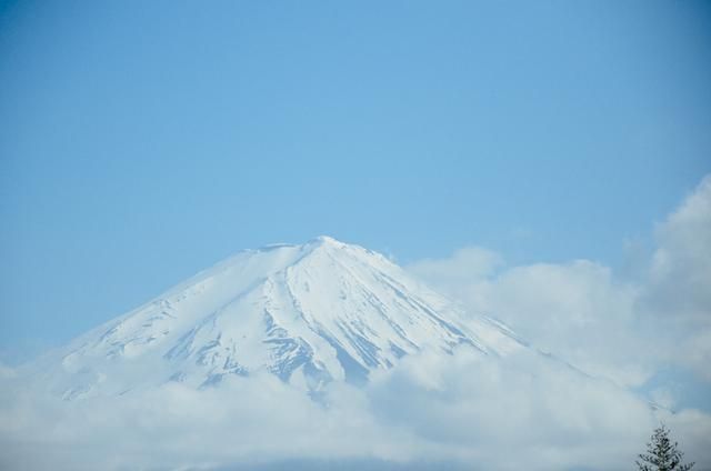 亚洲中文久久精品无码浏不卡