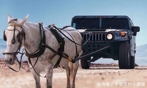 小马拉大车 翻訳 