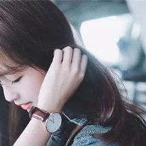 小马拉大车下载