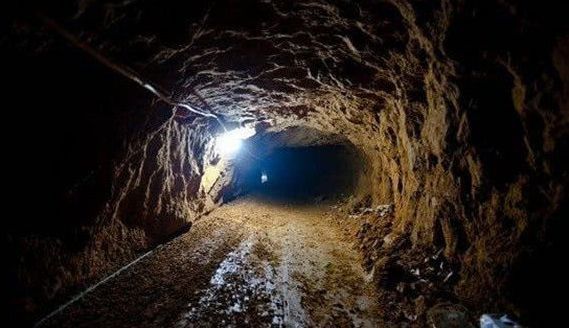 gtv官网下载安卓