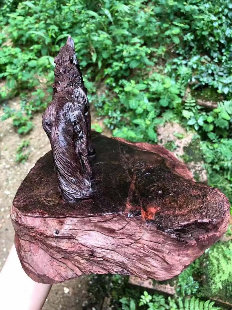 3d黄动漫 积极的黄动漫网络环境