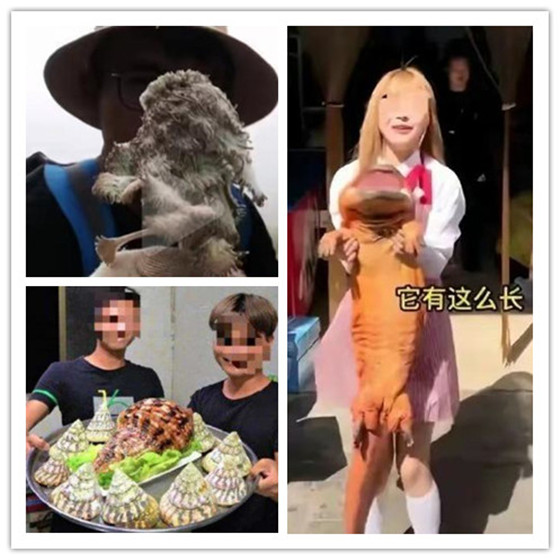 muchitinasu作品 它作为一个“属性标签”