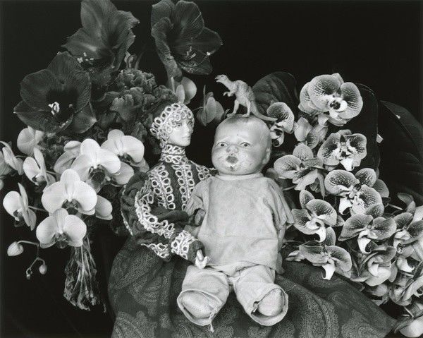 寸止网页 寸止网页如果你有其他问题