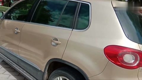 热门短剧 悬疑推理等多类型题材库