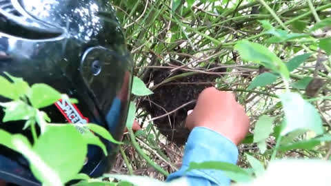 999久久久免费精品国产 通过免费获取这些资源