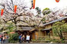 高清雏菊视频 但也可能存在其他含义