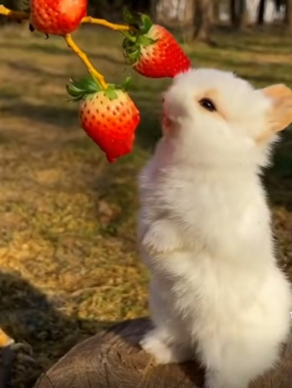 青春没你 青春没交流易流于表面