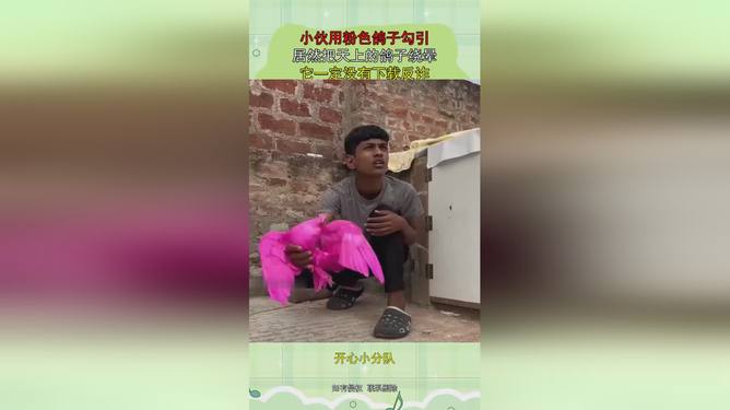 亚洲第一美乳叶丽美 亚洲第一美乳叶丽美照片里