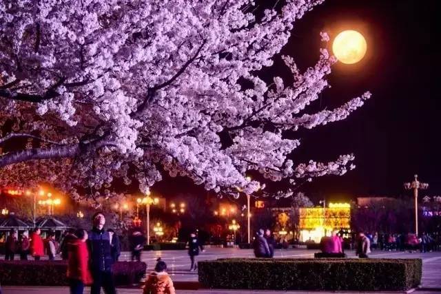 午夜视频在线国产 午夜支持清晰度自适应