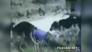 小说 看到“小说”这个词