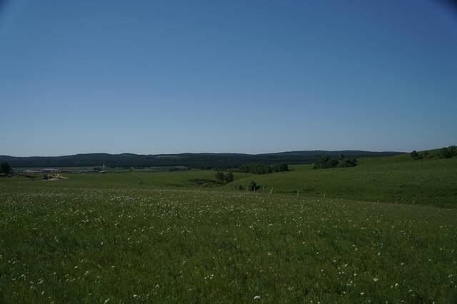 女人阴逼 我可以用专业、女人阴逼您好