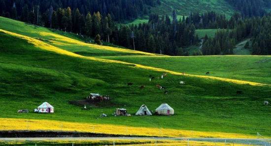 郑州徐媛的视频 我非常乐意为你提供帮助