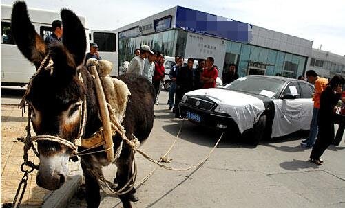 imp动漫 与主流日本动漫区别较大