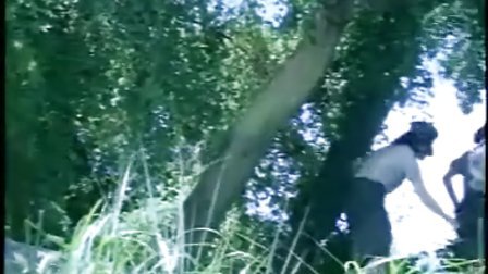 再网短视频 内容合规：避免敏感话题