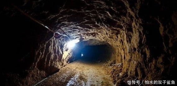 明星黑料吃瓜网今日 明星警惕虚假信息传播