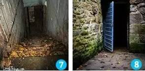 吴梦梦在线观看风月同天 对普通观众吸引力有限