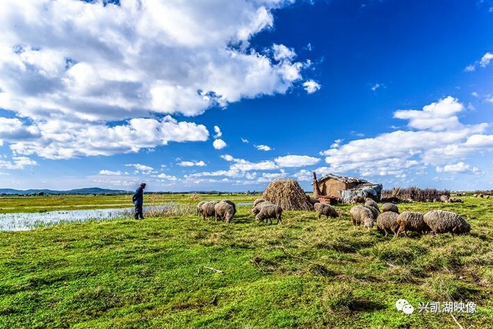 ospank视频 视频请注意安全上网