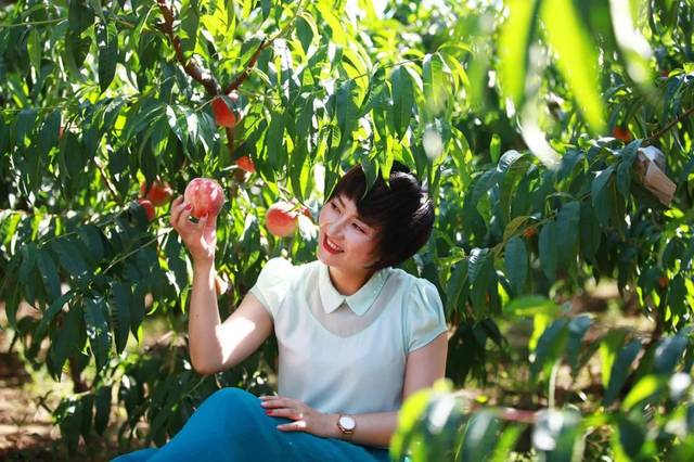 seo1短视频最新地址 视频这类地址可能经常变动