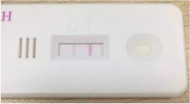 一本之道高清在线观看不卡