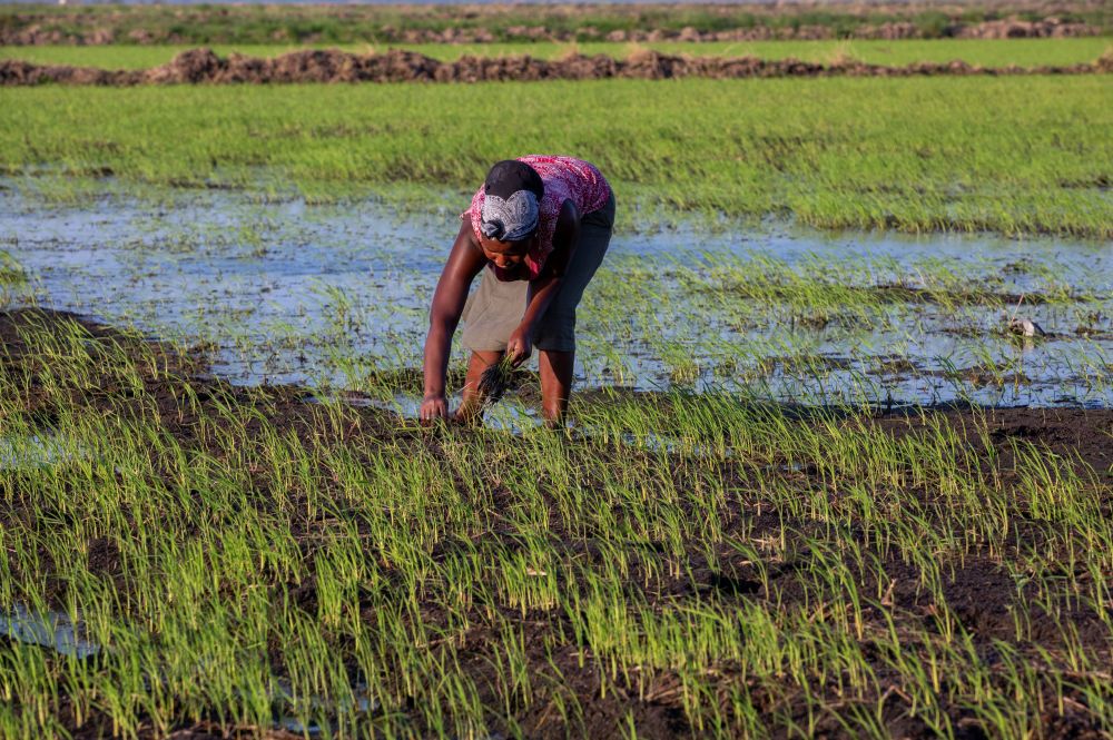 sprd-817视频在线观看 