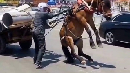 国外男同 包容的国外男同社会环境