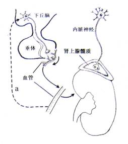 寸止挑战温柔十九期 我们无法提供具体信息