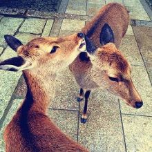 xxxxxx 色 xxxx 91 视 +频 xxxxxxx 在 线 观 看 我还没有学会回答这个问题