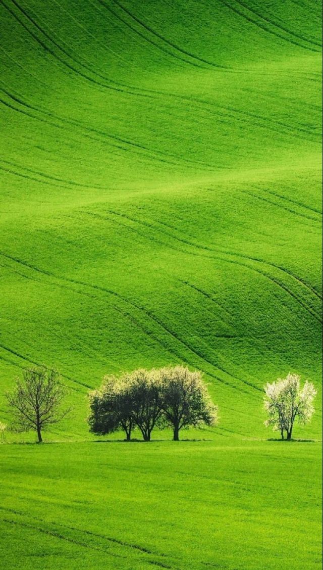 圣奴隶学院在线观看