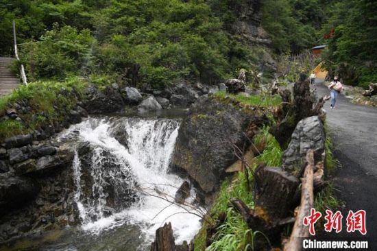 🍌视频 “香蕉”因其颜色和形状