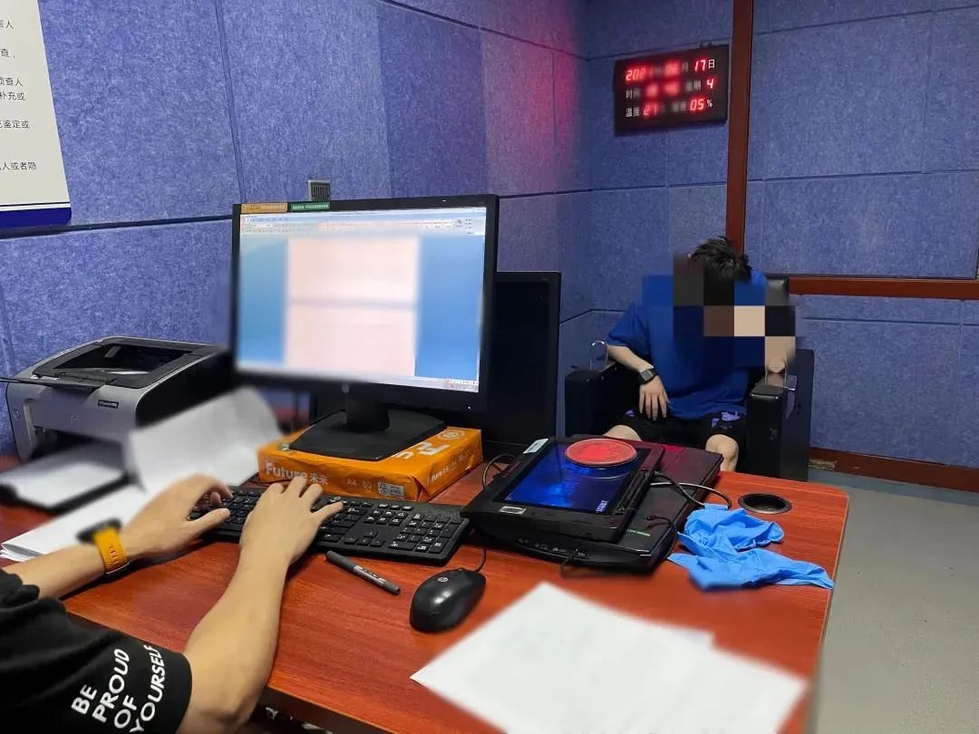 啄木鸟系类 鸟系能精准勾出害虫