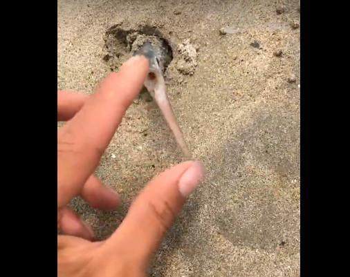 春节成年人的影院