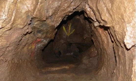 前台视频 使用授权账号和密码访问