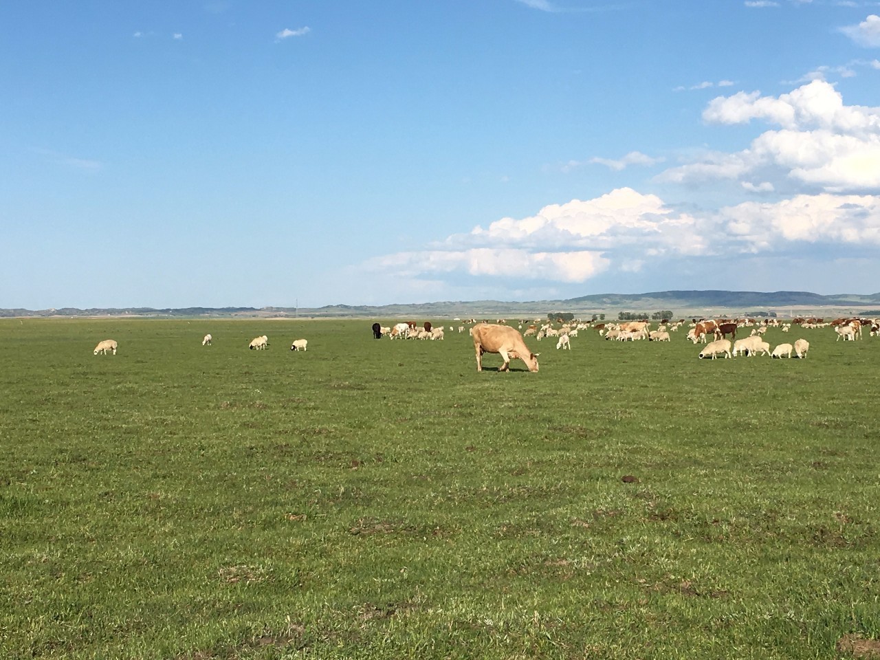抖音黑料不打详