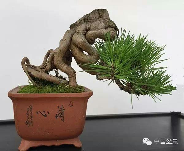 中文版小电影 电影微电影及电影解说