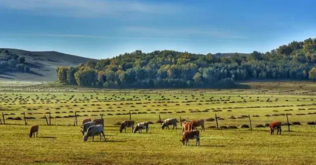 xbcc.cn 请注意：在尝试访问或联系时