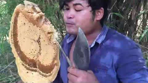 gtv破解 体育直播)有聚合观看需求