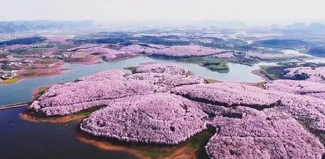 最新视频地址 也无法提供具体的链接地址