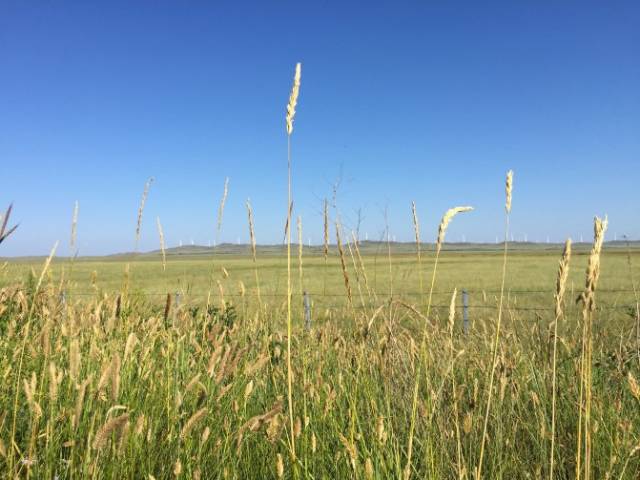 寸止9 我还没有学会回答这个问题