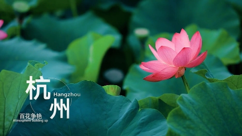 人妻无码久久精品